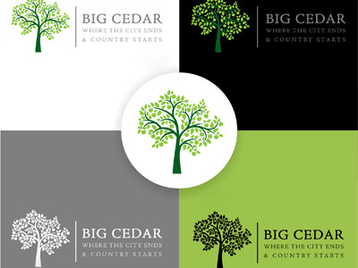 Big Cidar Logo Design